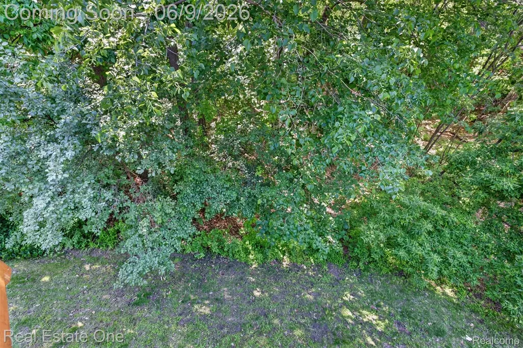 6586 Scenic Pines Court Independence Charter Township MI 48346