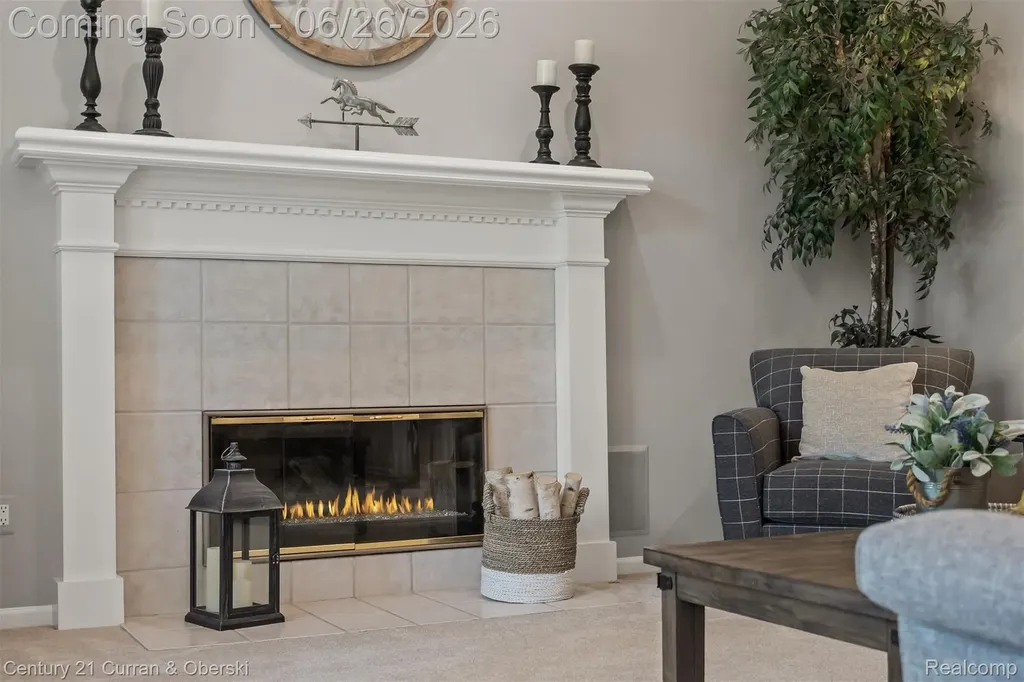 22217 Hazelton Court Novi City MI 48374