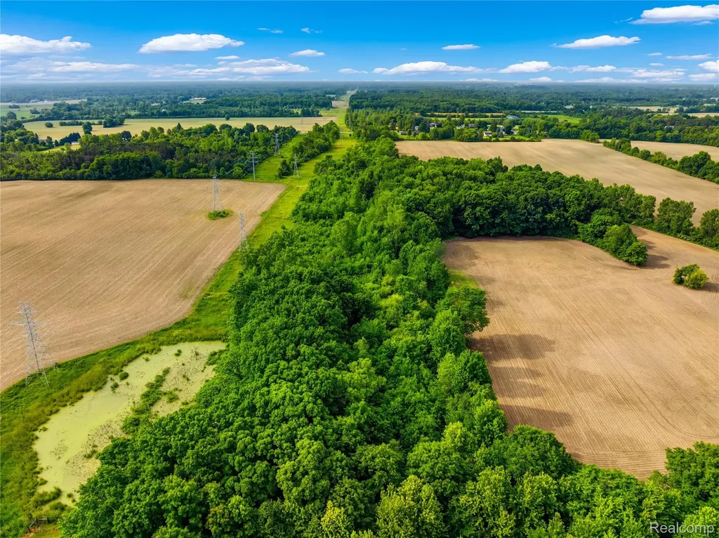 3241 E Frances Road Thetford Township MI 48420