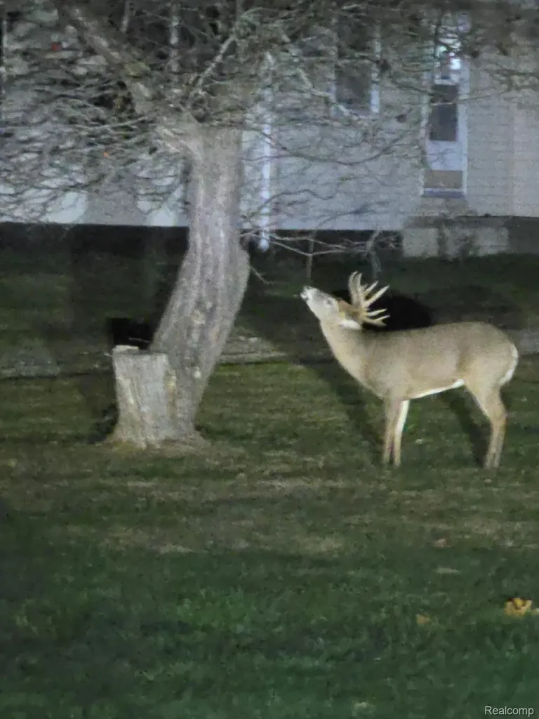 3241 E Frances Road Thetford Township MI 48420