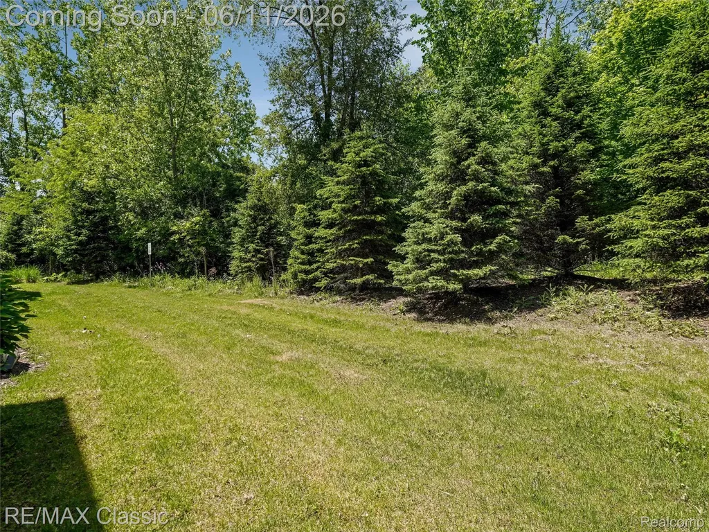 24869 Ivy Novi City MI 48375