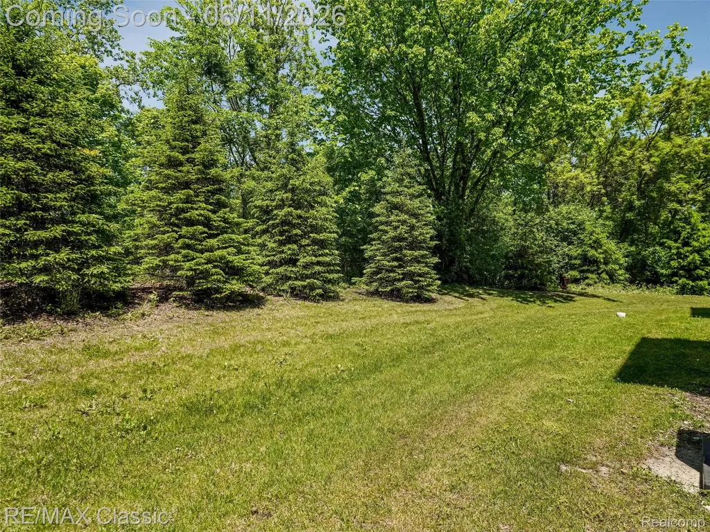 24869 Ivy Novi City MI 48375