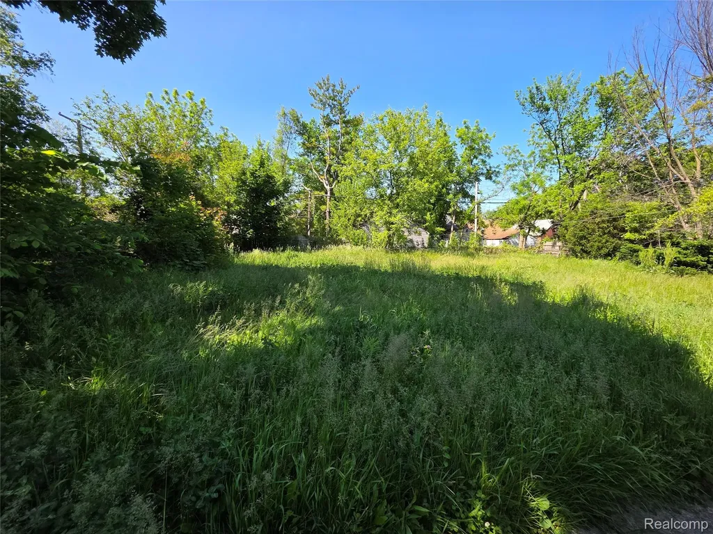 16433 Manning Street Detroit City MI 48205