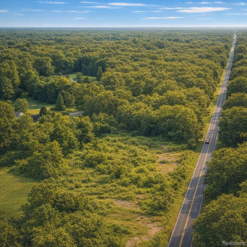 0 Gray Road Elba Township MI 48446