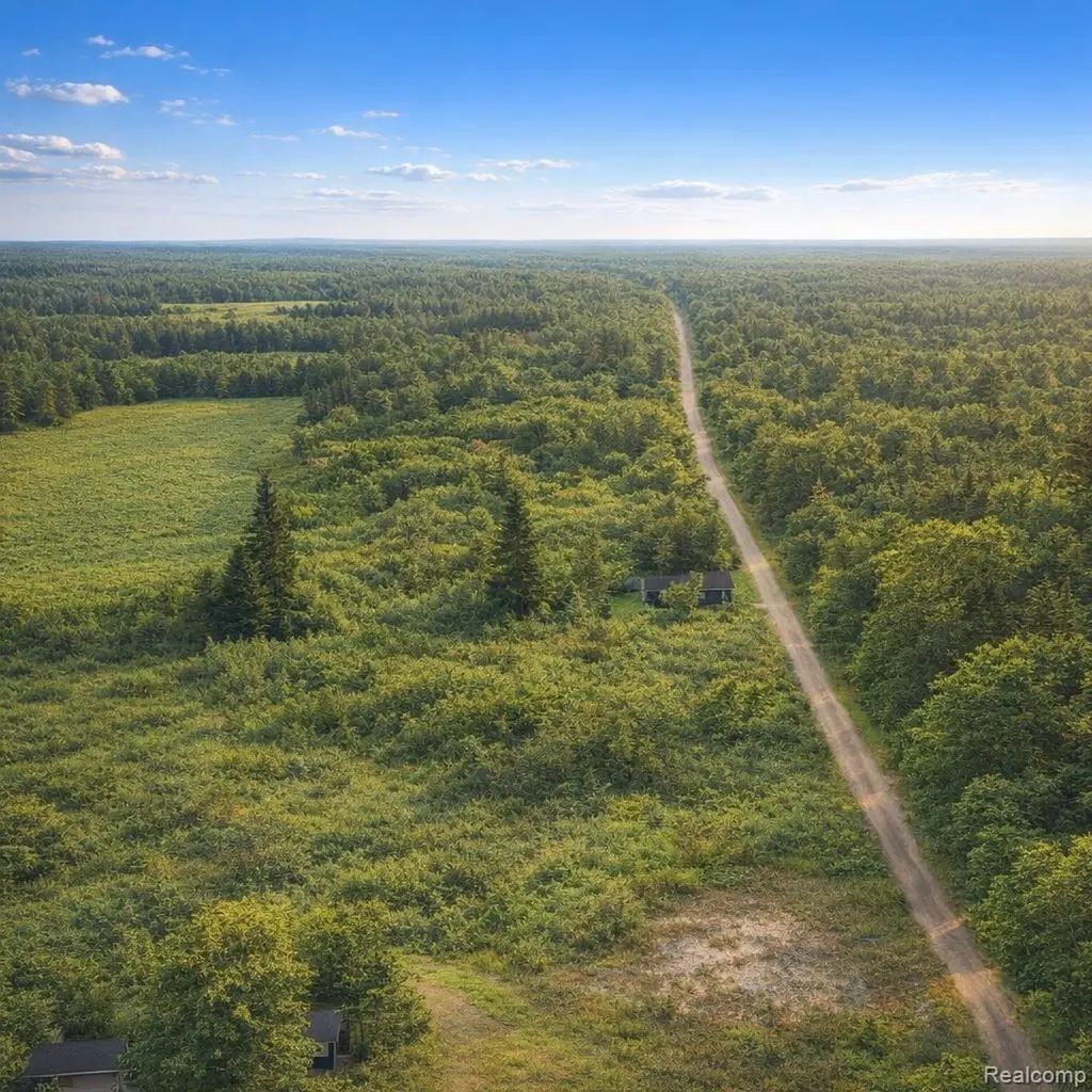 0 Gray Road Elba Township MI 48446