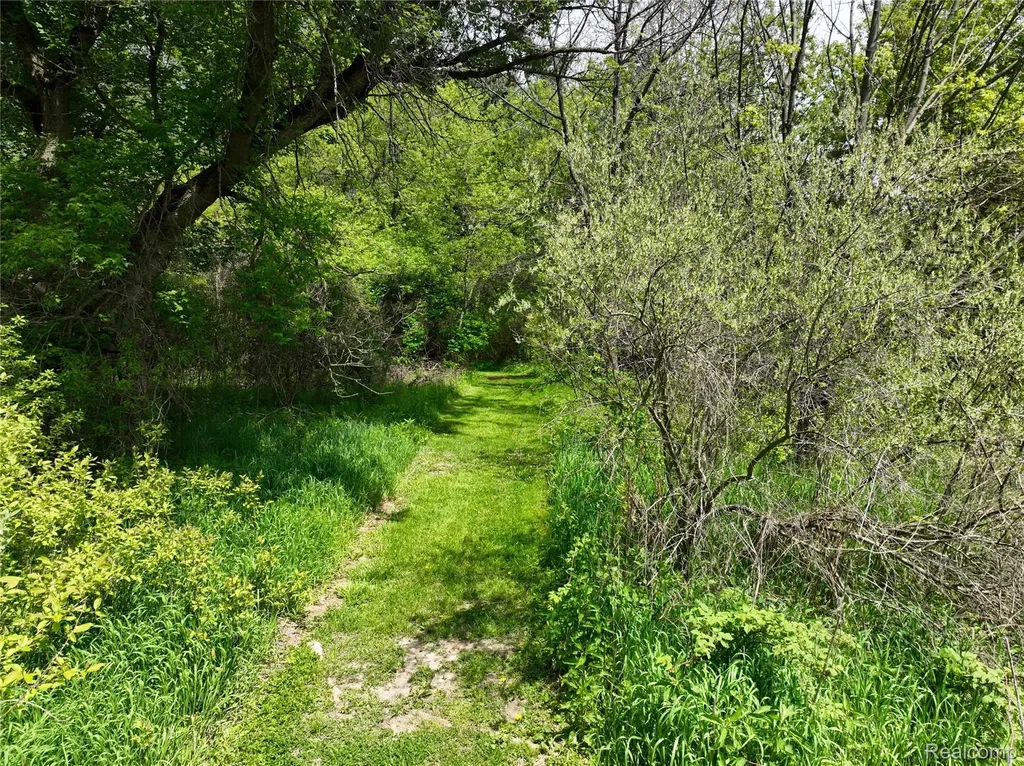 0 Gray Road Elba Township MI 48446