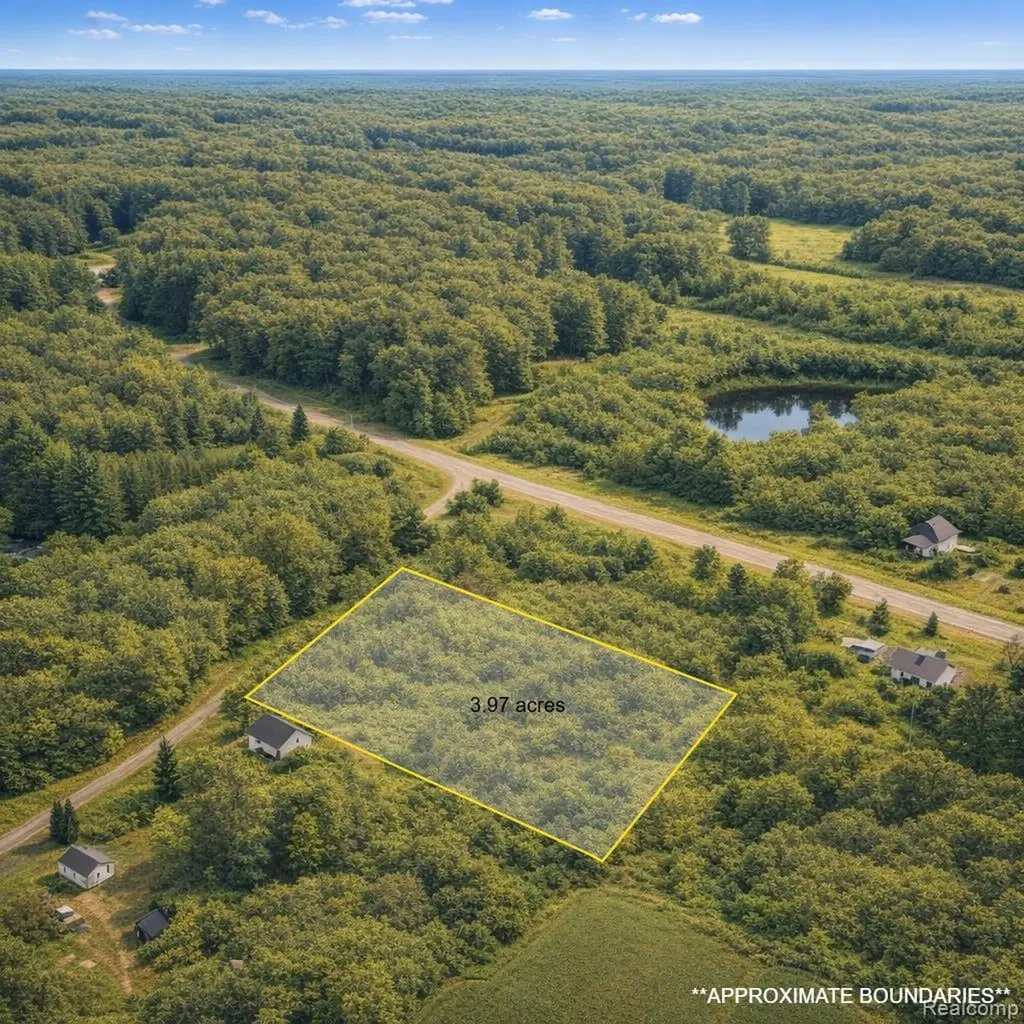 0 Gray Road Elba Township MI 48446
