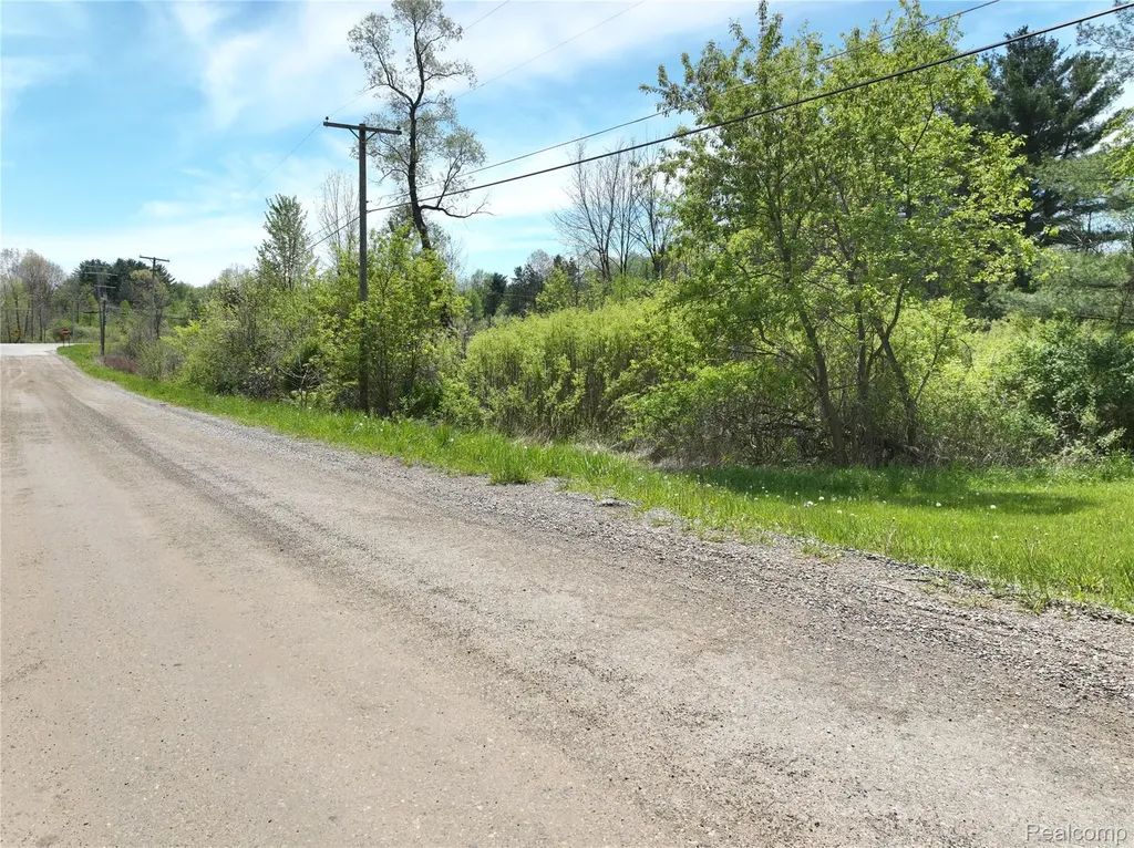 0 Gray Road Elba Township MI 48446