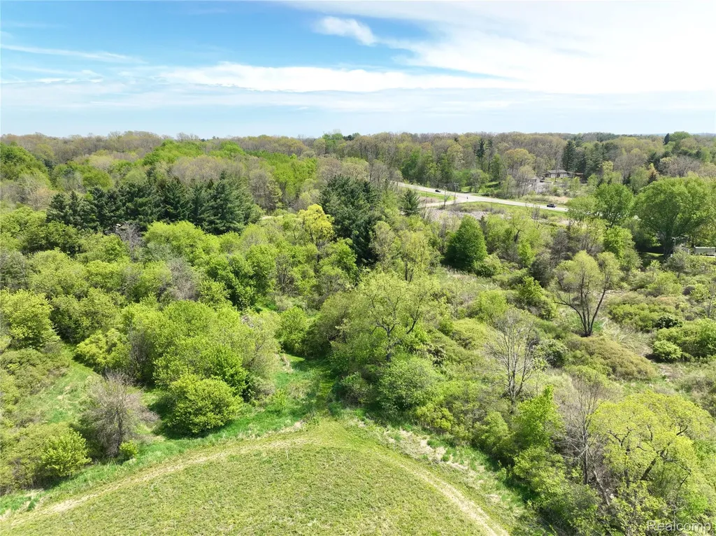 0 Gray Road Elba Township MI 48446