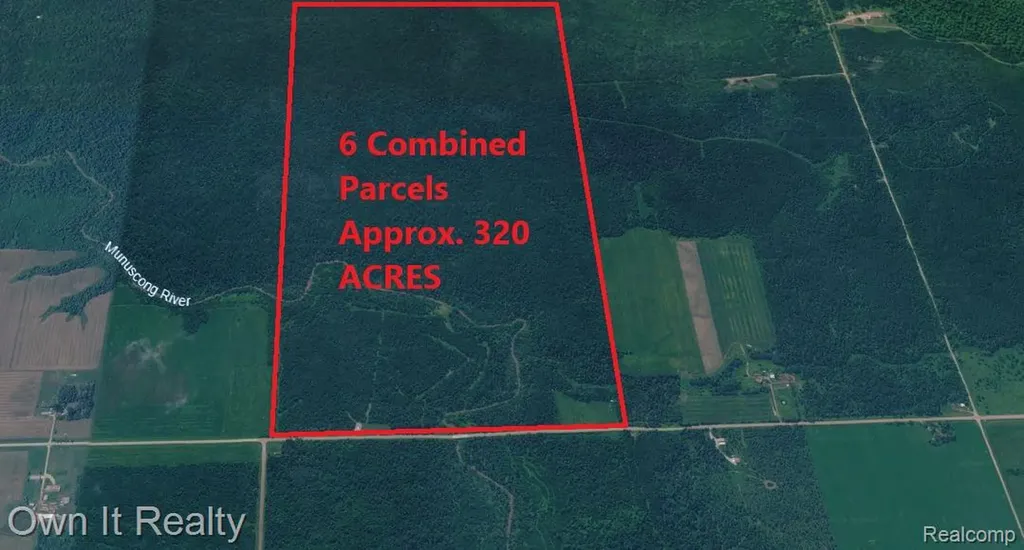 0000 E Townline Road Pickford Township MI 49774
