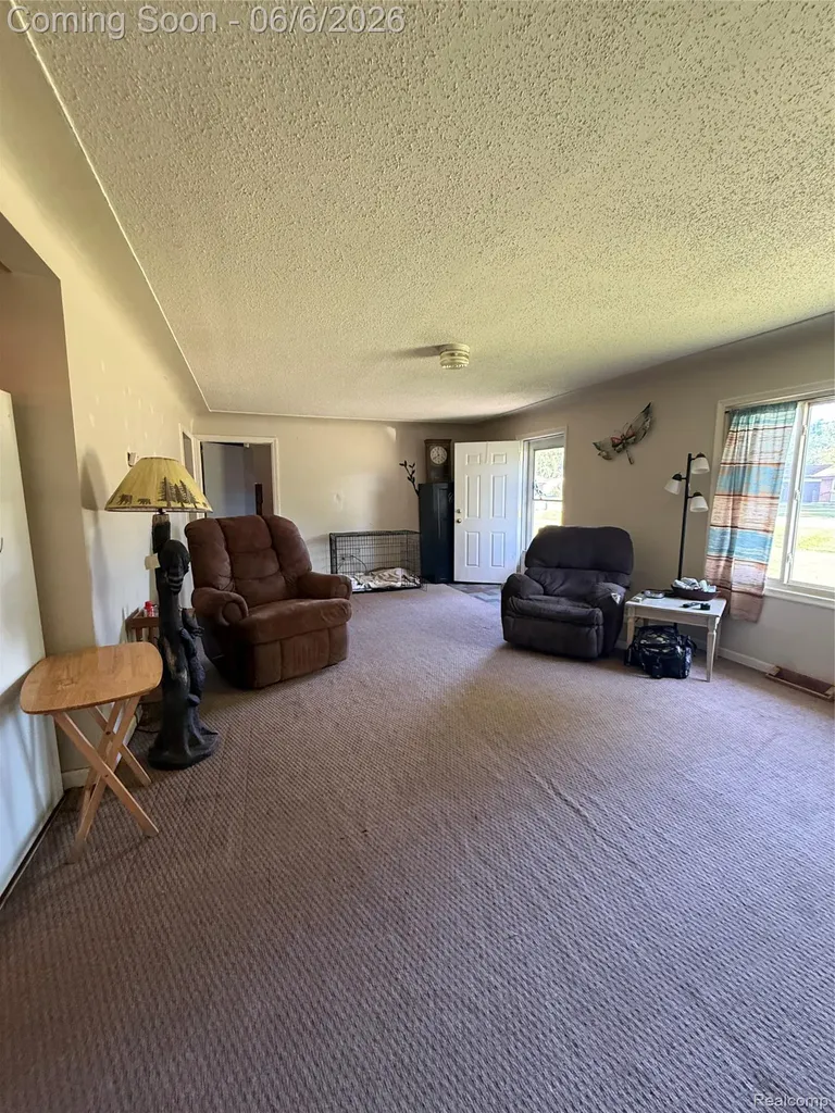 4413 Winters Drive Genesee Charter Township MI 48506
