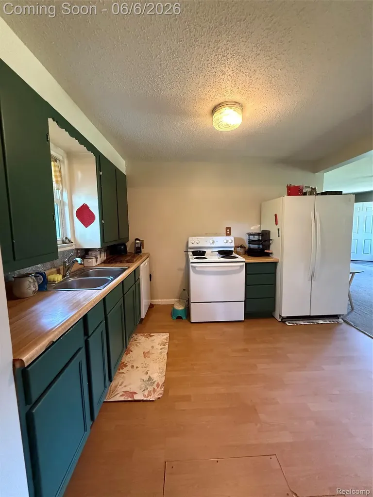 4413 Winters Drive Genesee Charter Township MI 48506