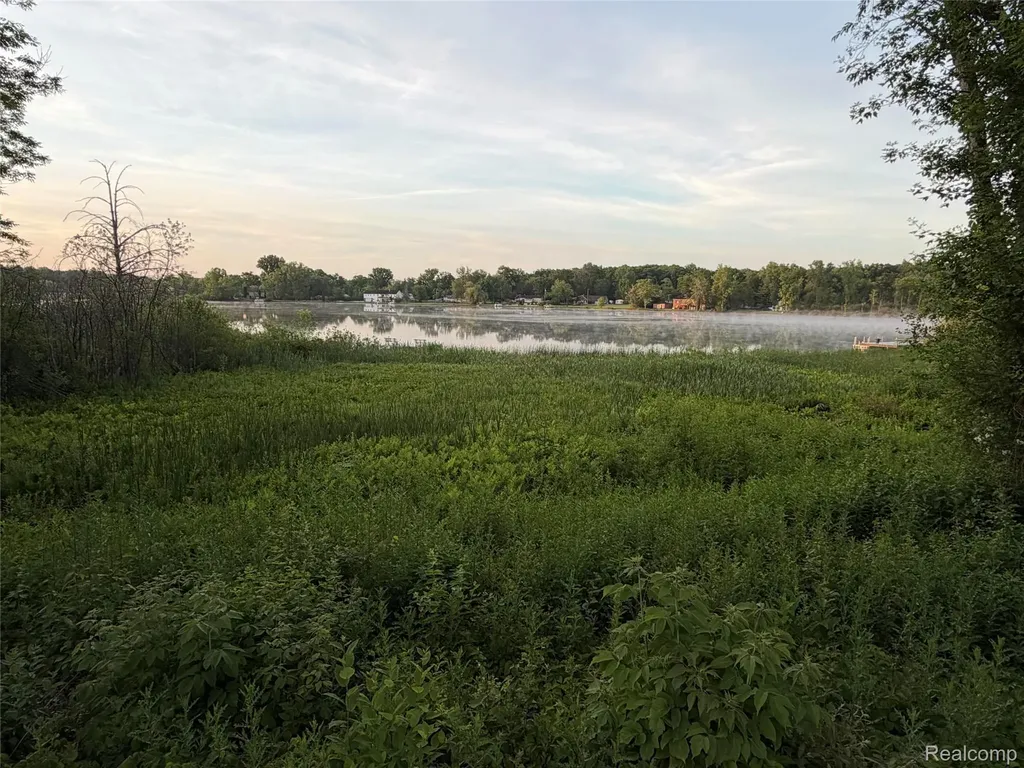 3604 Bay Harbor Drive Brighton Township MI 48114