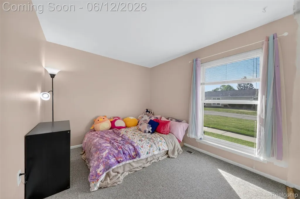22727 Cortes Street Novi City MI 48375