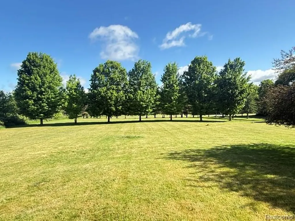 4897 Curtiss Drive Elba Township MI 48446