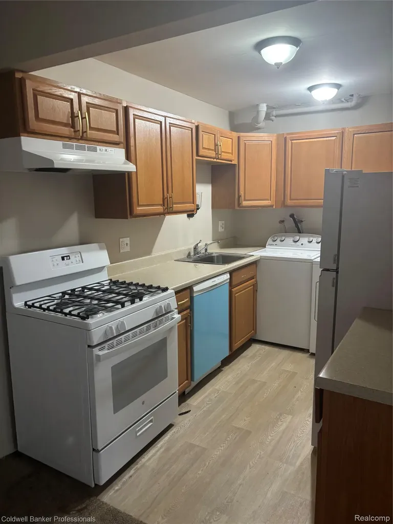 41223 S Woodbury Green Drive Van Buren Charter Township MI 48111