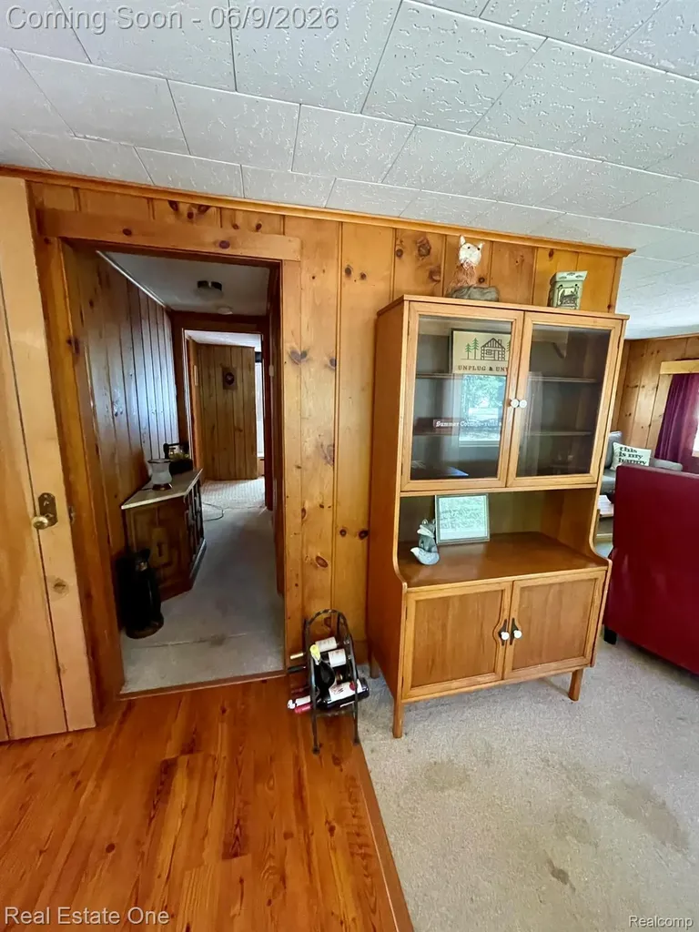 2596 E Fox Road Alcona Township MI 48742