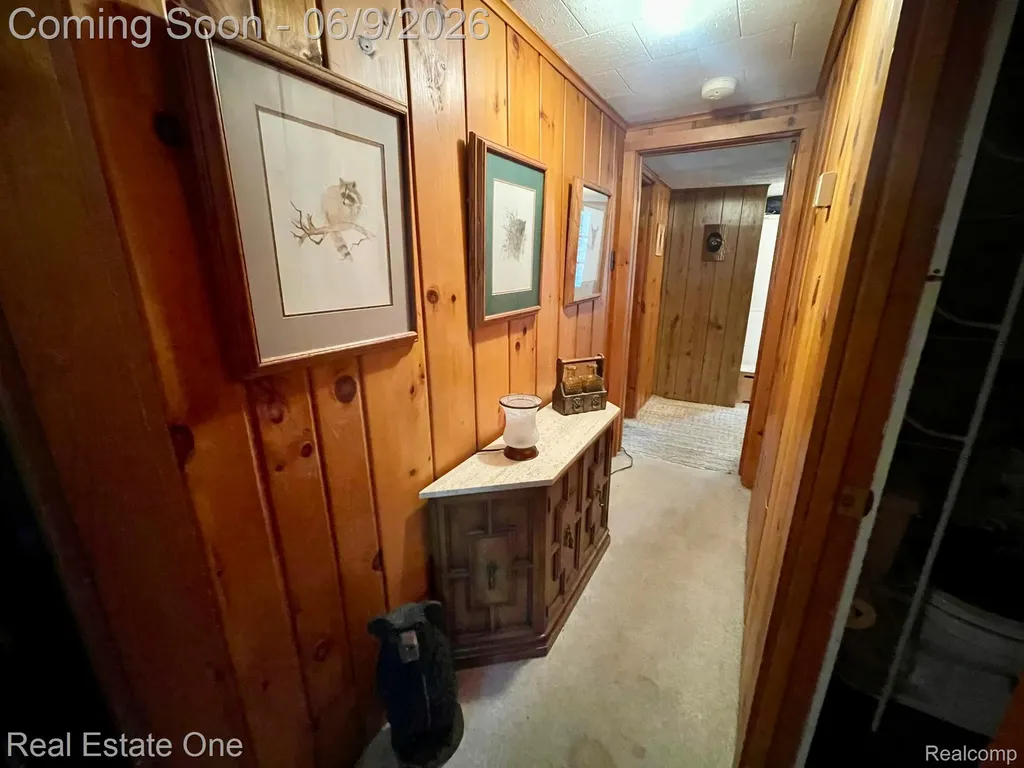 2596 E Fox Road Alcona Township MI 48742