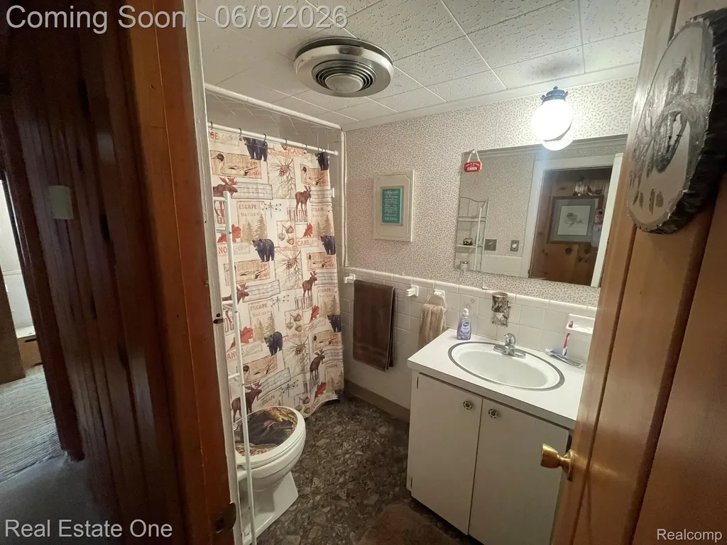 2596 E Fox Road Alcona Township MI 48742