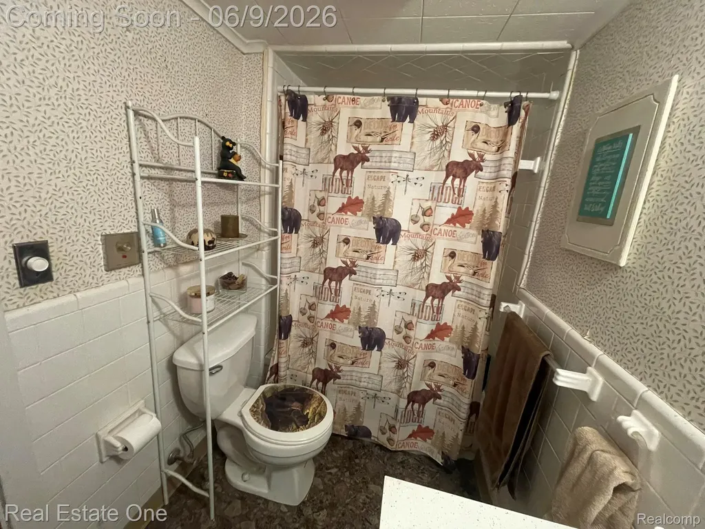 2596 E Fox Road Alcona Township MI 48742