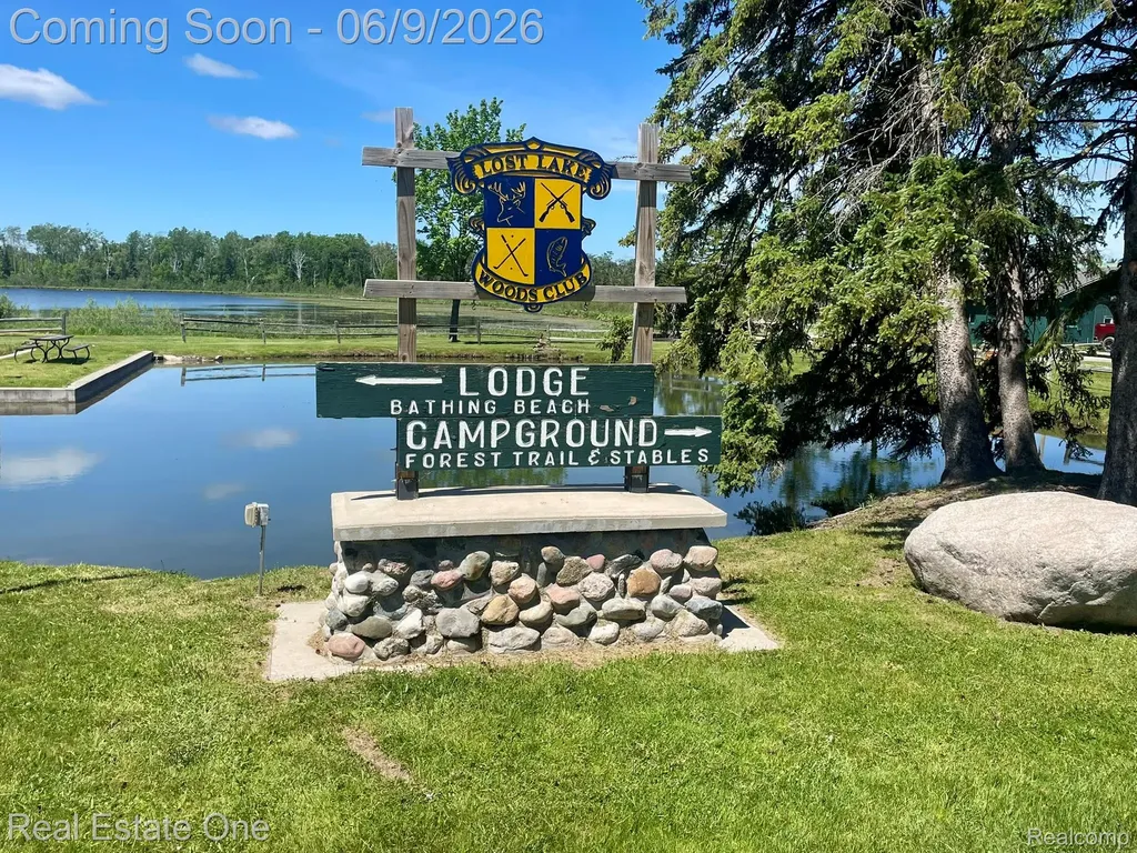 2596 E Fox Road Alcona Township MI 48742