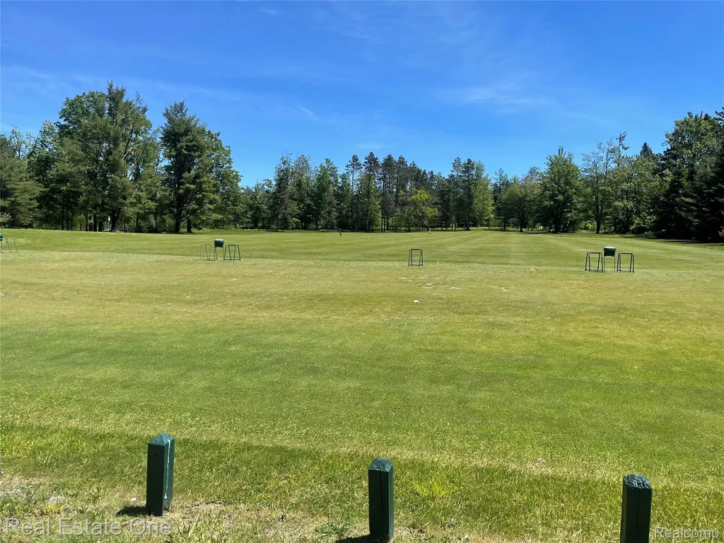2596 E Fox Road Alcona Township MI 48742