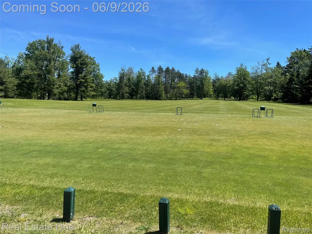 2596 E Fox Road Alcona Township MI 48742