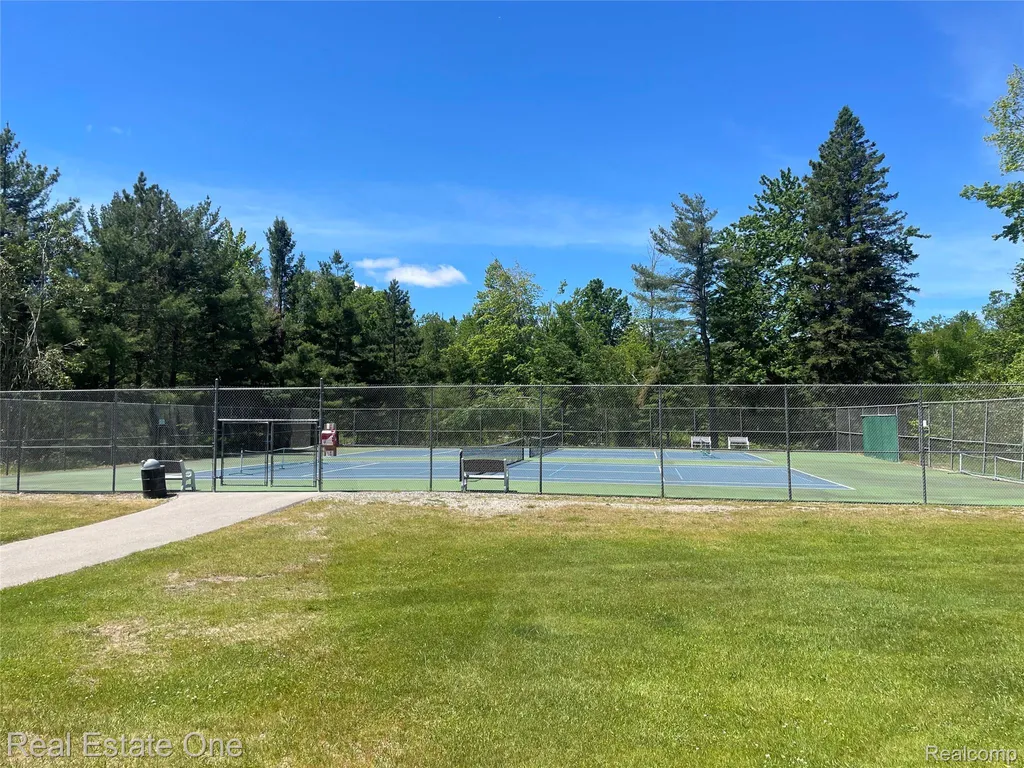 2596 E Fox Road Alcona Township MI 48742