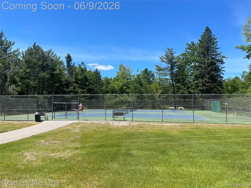 2596 E Fox Road Alcona Township MI 48742