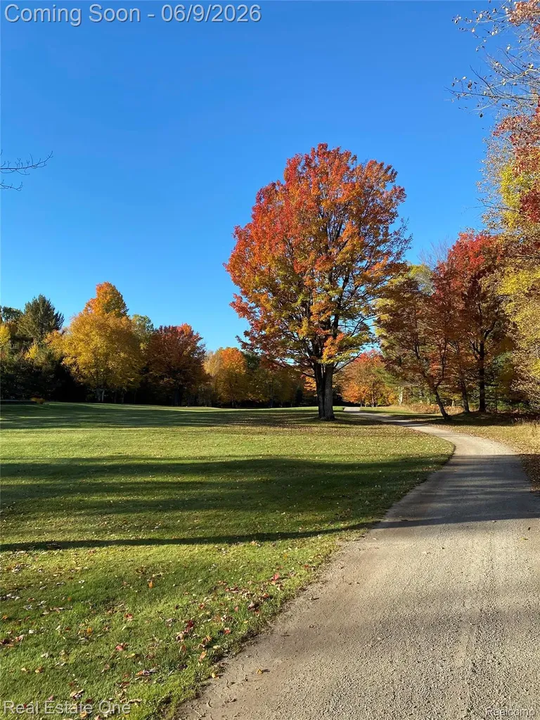2596 E Fox Road Alcona Township MI 48742