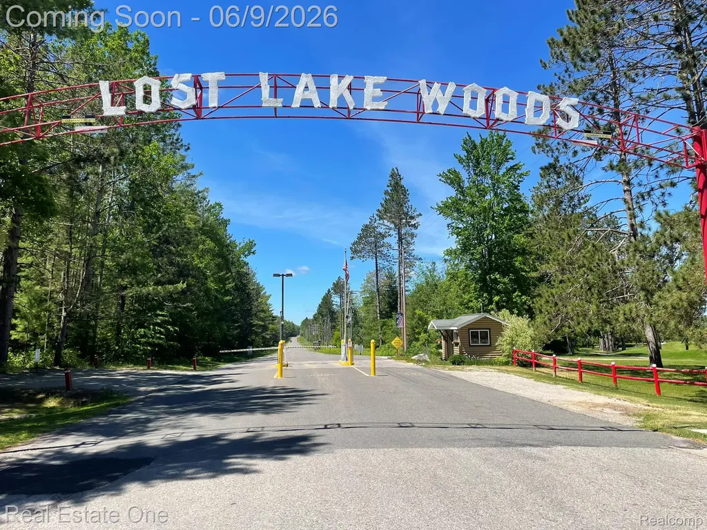 2596 E Fox Road Alcona Township MI 48742