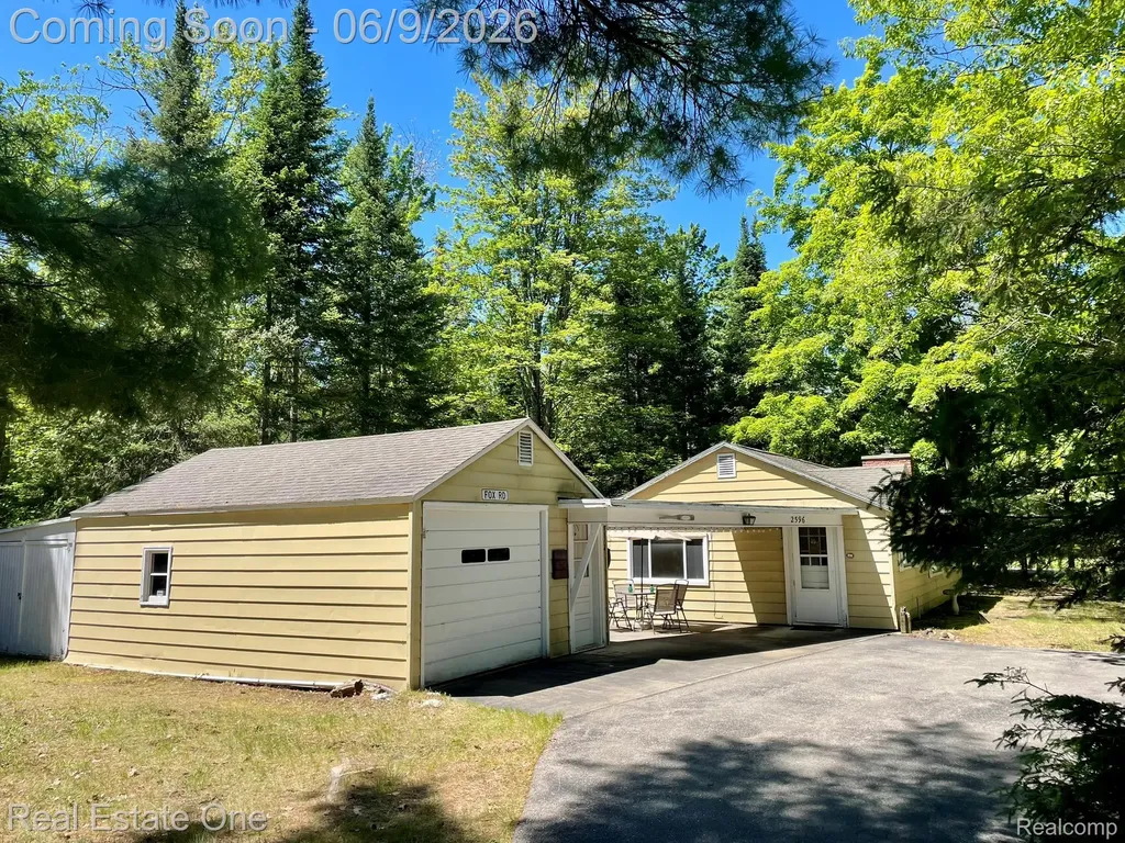 2596 E Fox Road Alcona Township MI 48742