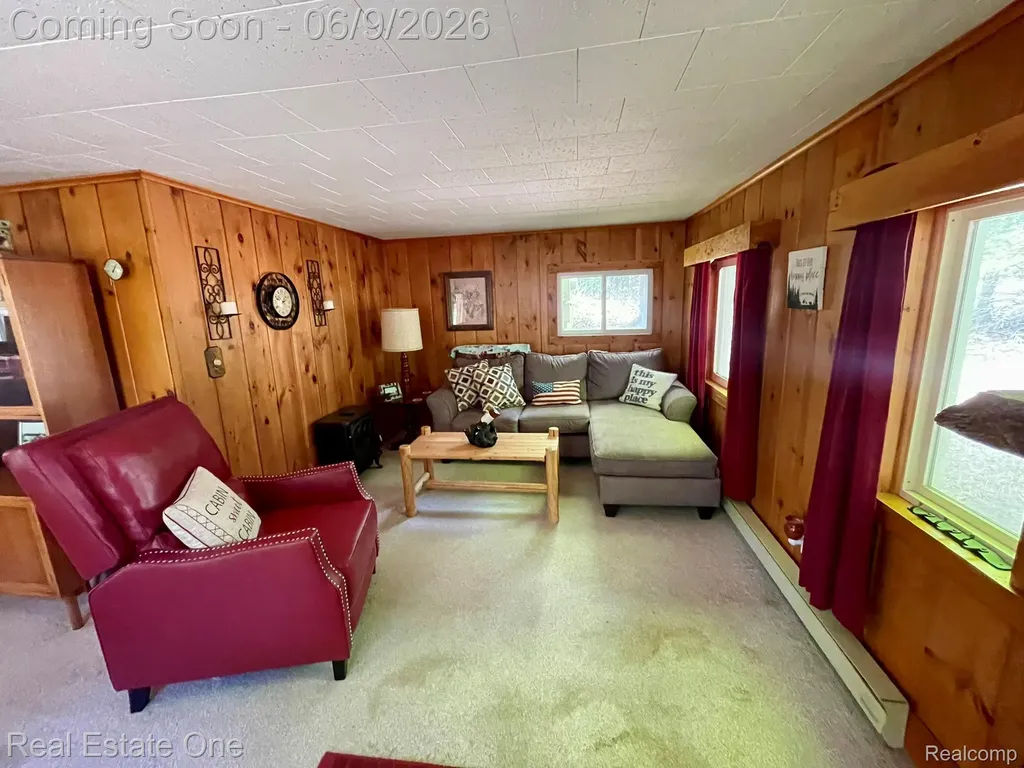 2596 E Fox Road Alcona Township MI 48742