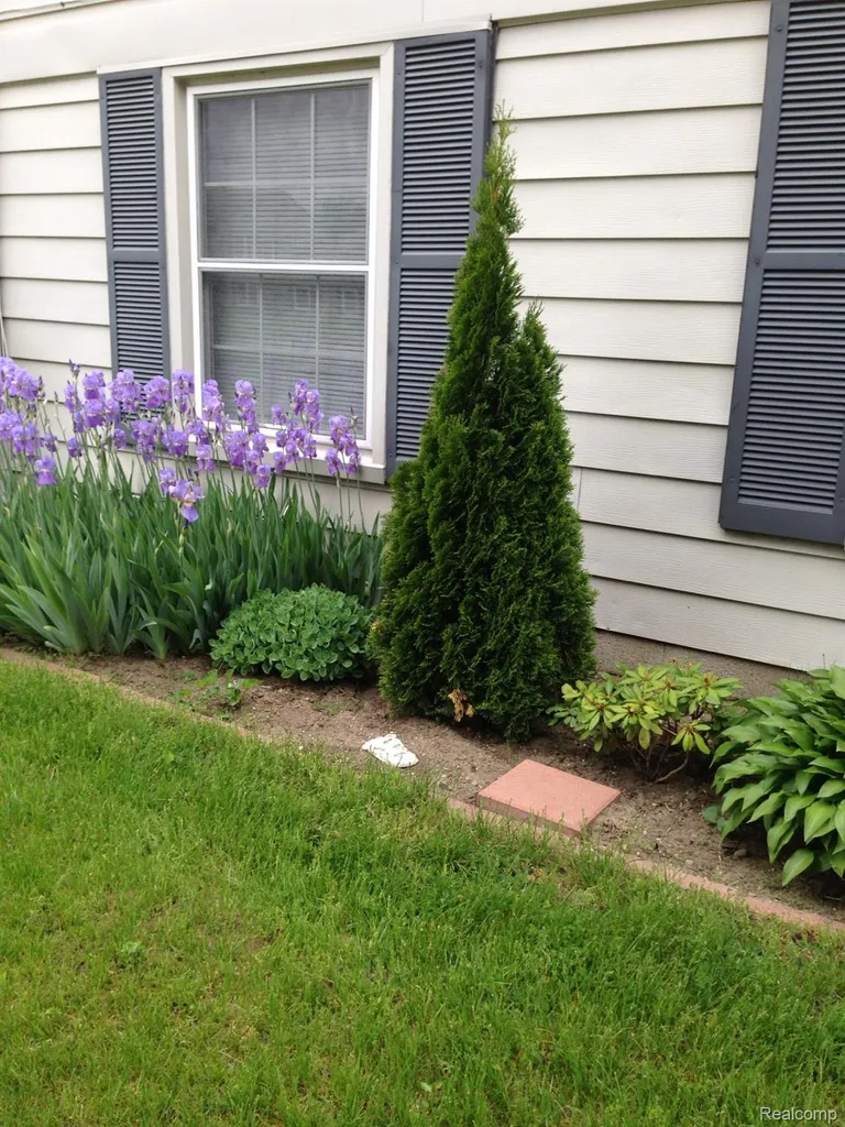 2978 Elmwood Court Lake Orion Village MI 48360