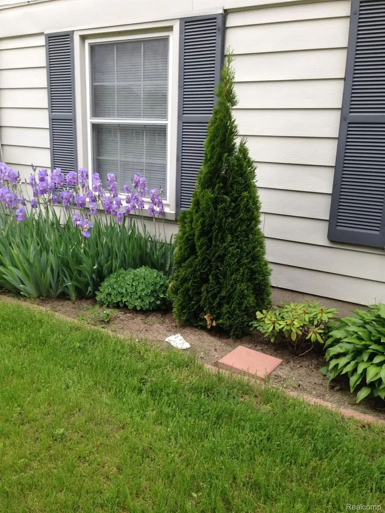 2978 Elmwood Court Lake Orion Village MI 48360