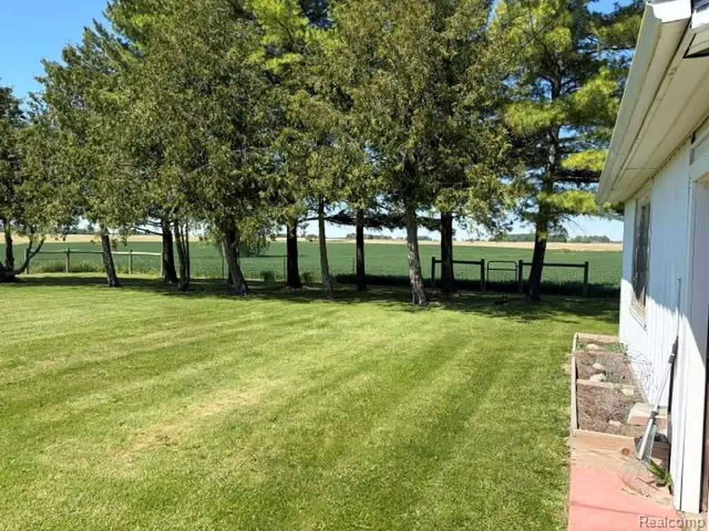 4815 Loree Road Deckerville Village MI 48427