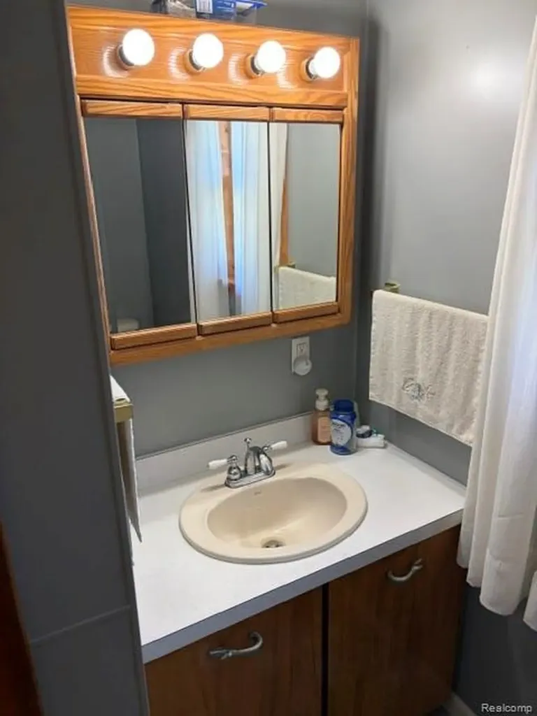 4815 Loree Road Deckerville Village MI 48427