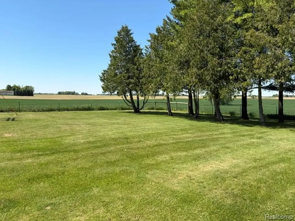 4815 Loree Road Deckerville Village MI 48427