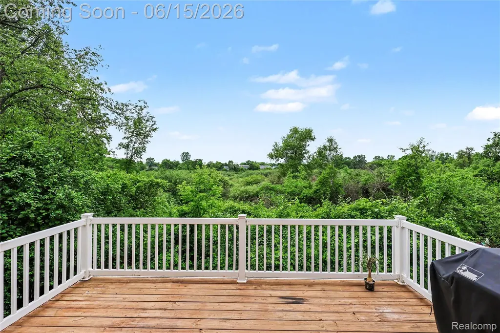 4448 Sunflower Circle Independence Charter Township MI 48346