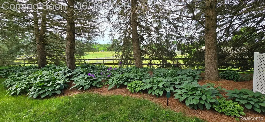 5900 Carter Court Marion Township MI 48843