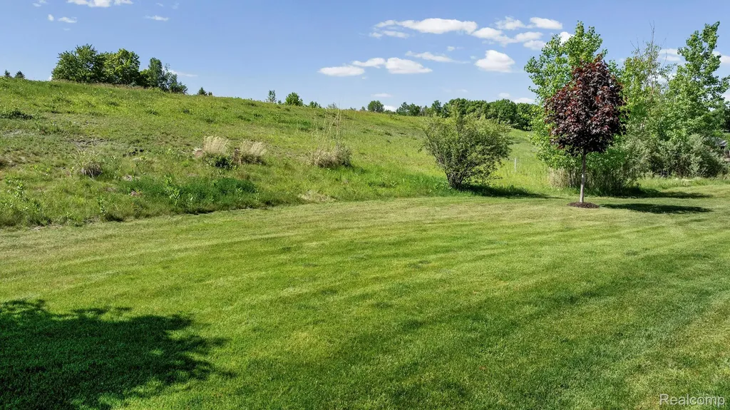 672 Brooks Lane Oxford Charter Township MI 48371