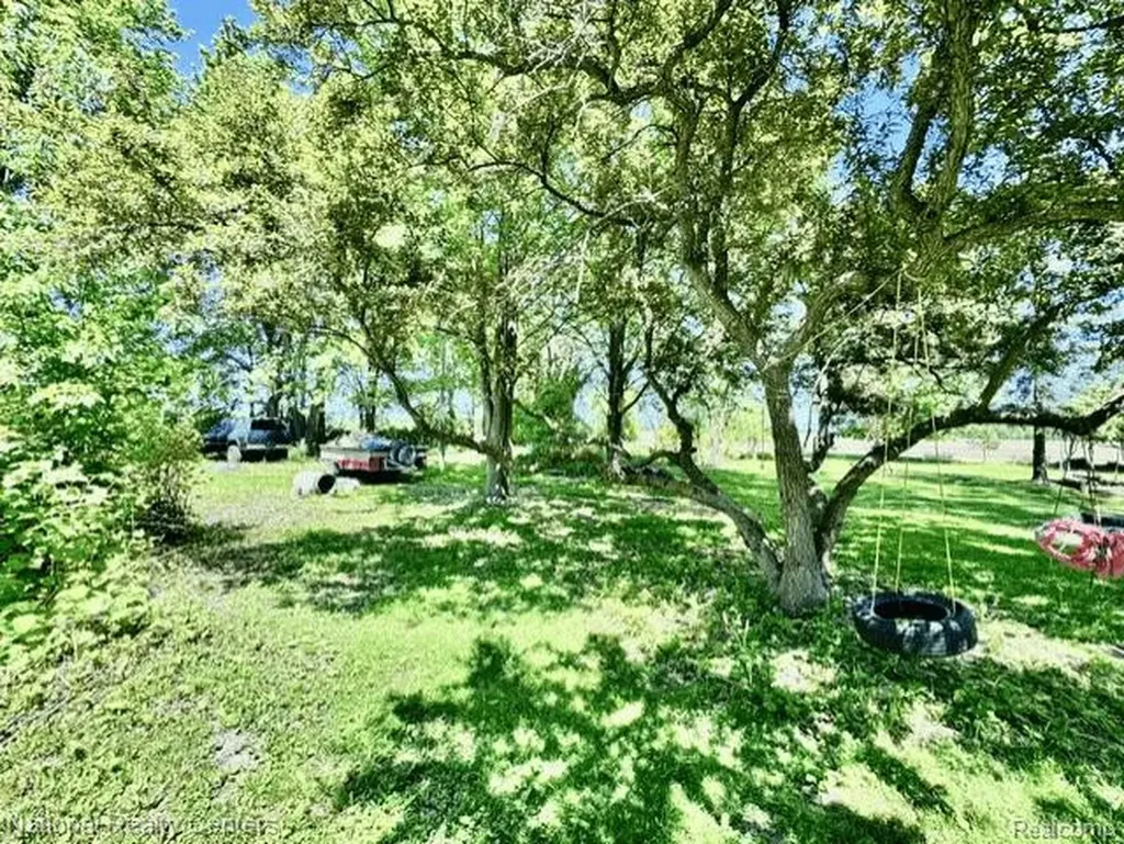 4800 Fargo Road Buel Township MI 48422