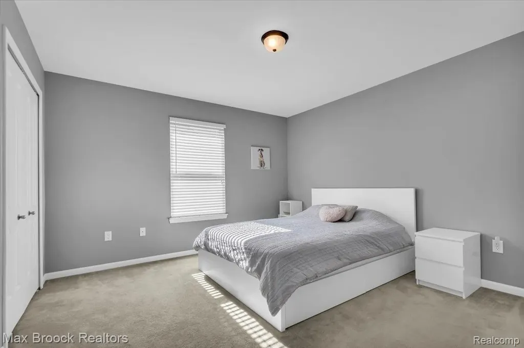 54265 Birchwood Drive Lyon Charter Township MI 48178