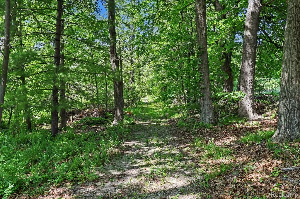 16400 Easudes Road Sharon Township MI 49240