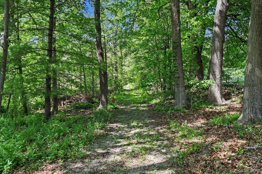 16400 Easudes Road Sharon Township MI 49240