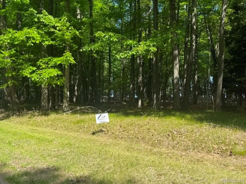 Lot 16 Towering Oaks Drive Port Austin Township MI 48467