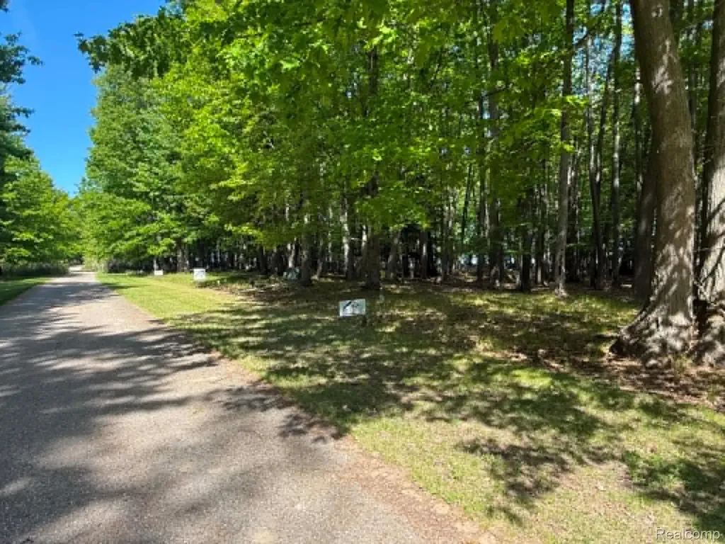 Lot 16 Towering Oaks Drive Port Austin Township MI 48467
