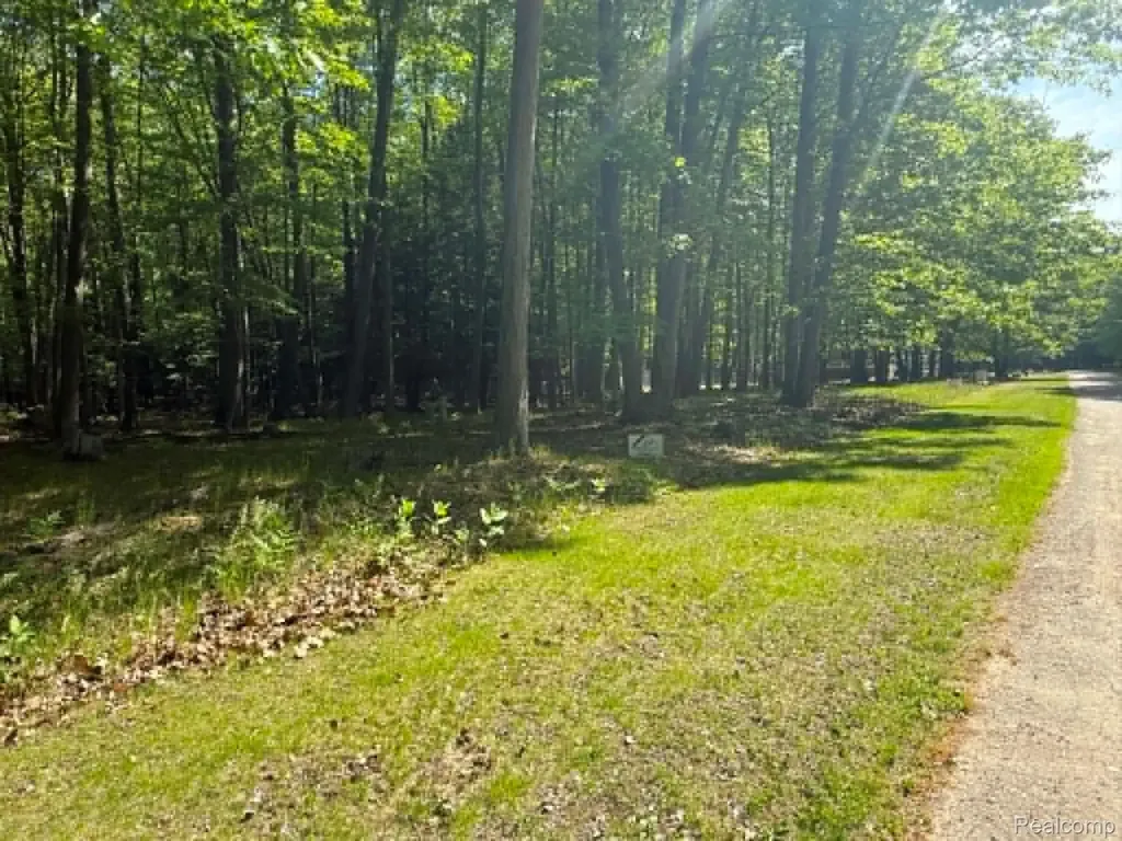 Lot 16 Towering Oaks Drive Port Austin Township MI 48467