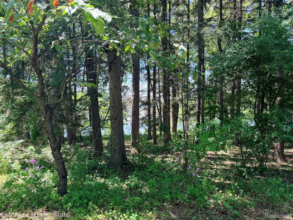Vacant Mckeachie Road White Lake Charter Township MI 48383