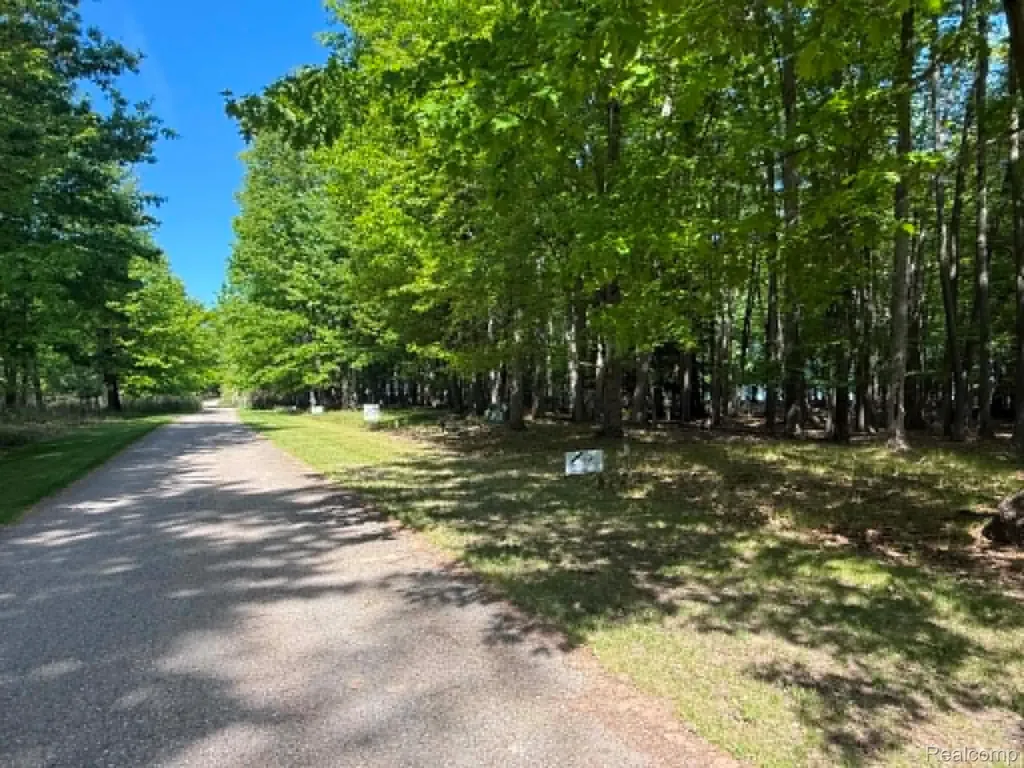 Lot 14 Towering Oaks Drive Port Austin Township MI 48467